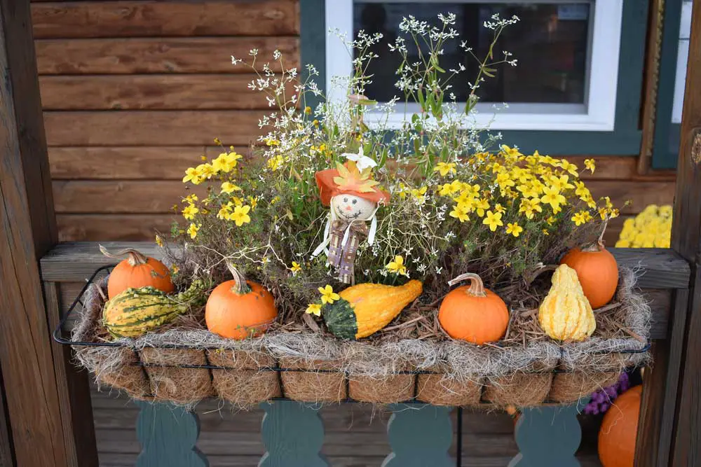 fall harvest festive window box