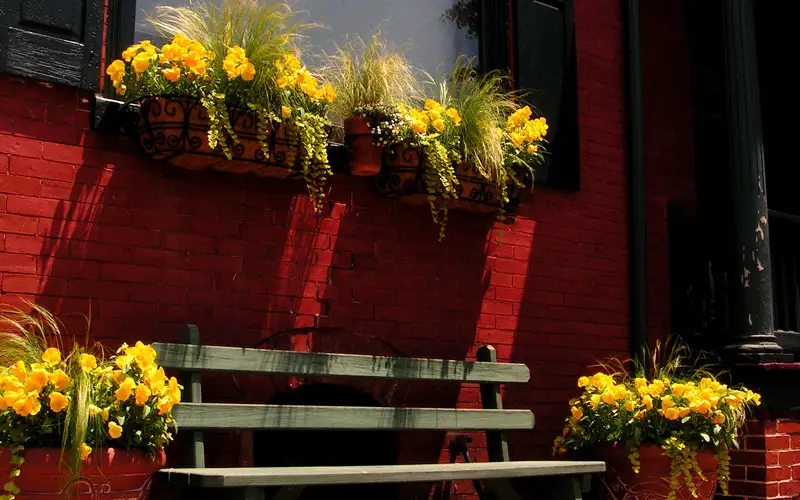 fall-window-boxes-05sm