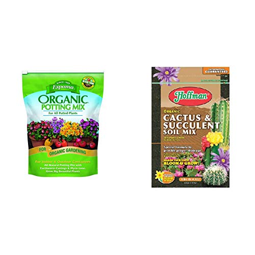 Hoffman 10404 Organic Cactus and Succulent Soil Mix Idéal pour les Succulentes