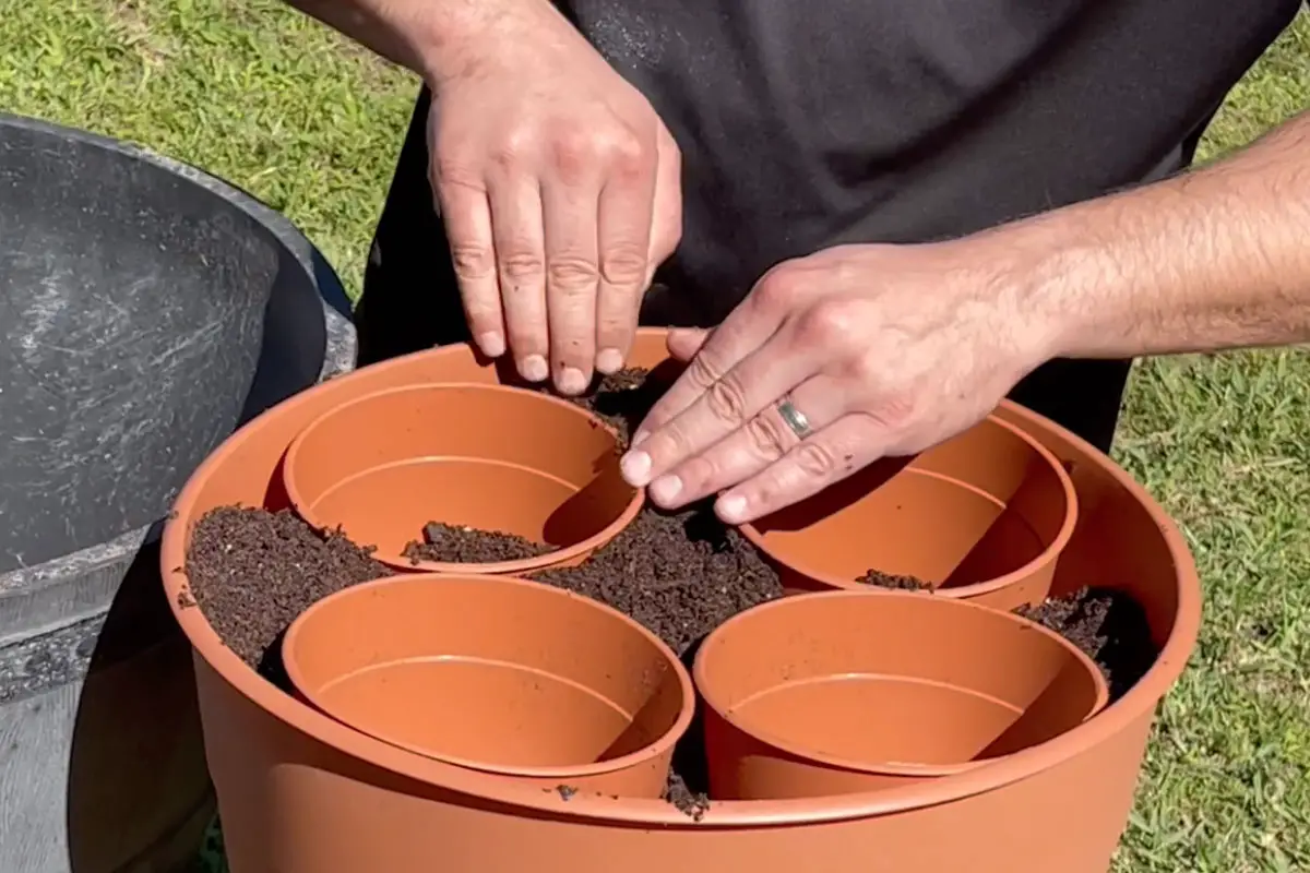 Conseil Brillant pour le Jardinage en Conteneurs (Vidéo)