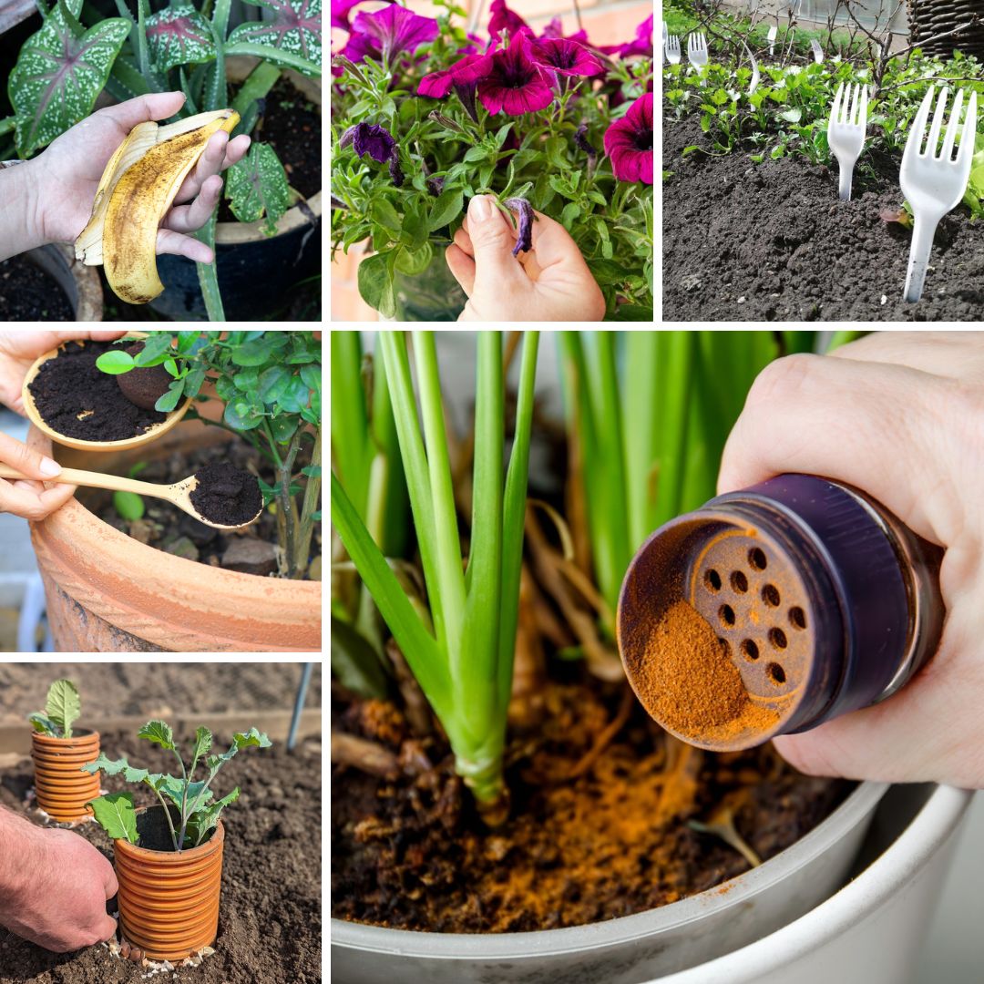 10 astuces de jardinage simples qui fonctionnent vraiment